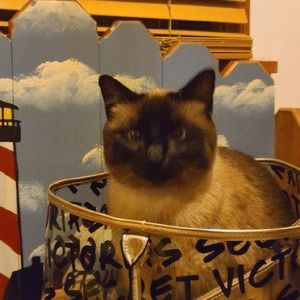 Meet your Posher, Judith